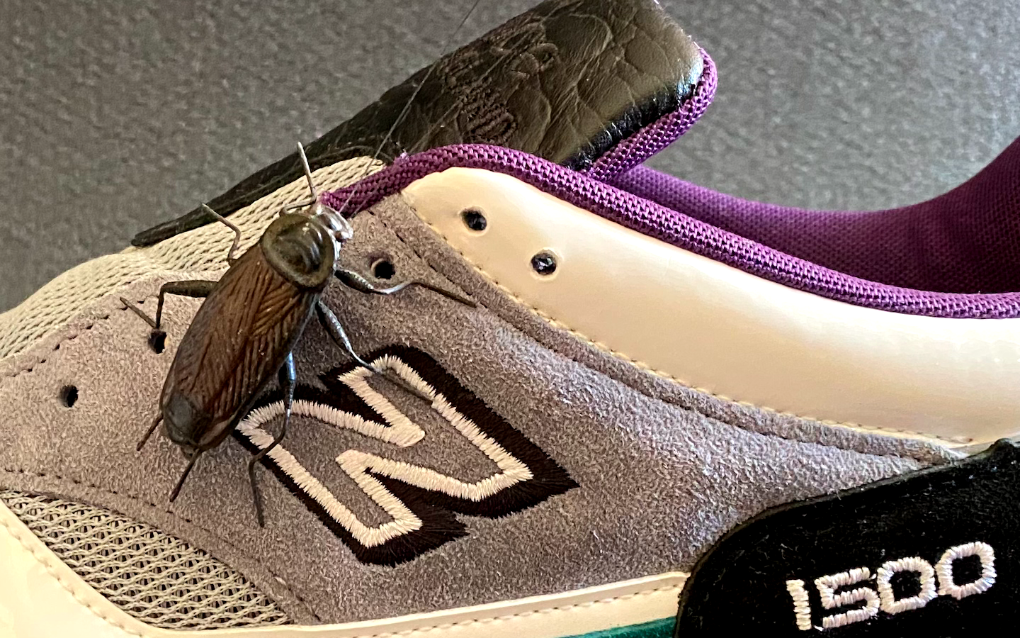 New Balance 1500 M1500X SAMPLE_LAB + "Kakkerlak"-figure Neu in Box US 12 UK 11,5 EUR 46,5